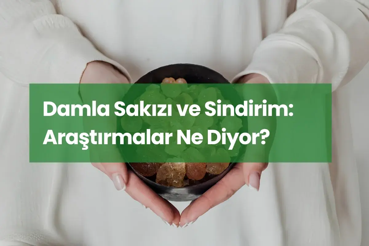Damla Sakızı ve Sindirim: Araştırmalar Ne Diyor?