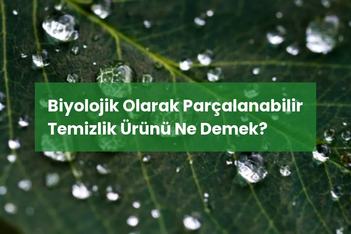 Biyolojik Olarak Parçalanabilir Temizlik Ürünü Ne Demek?