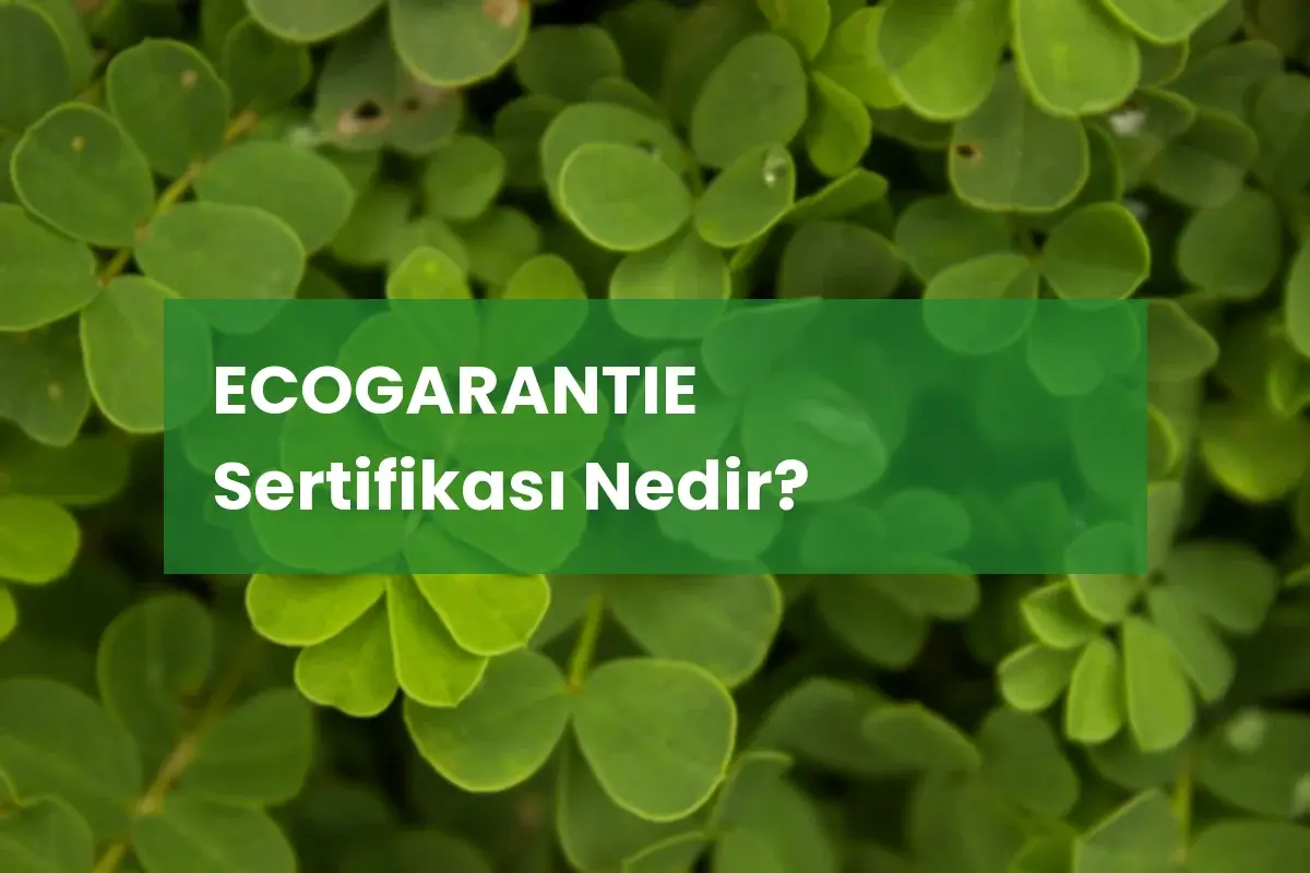 ECOGARANTIE Sertifikası Nedir?