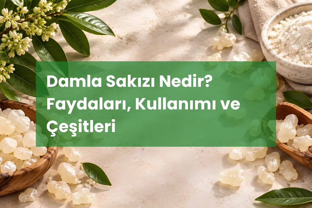 Damla Sakızı Nedir? Faydaları, Kullanımı ve Çeşitleri