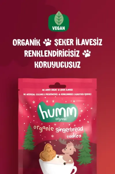 Humm Organik Zencefilli Tarçınlı Vegan Kurabiye 55 g ürün görseli