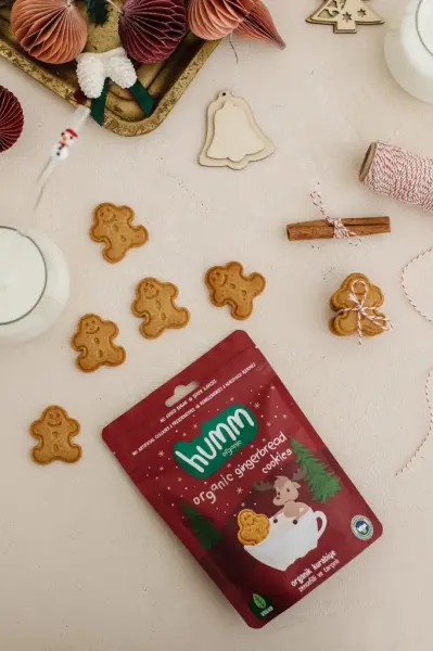 Humm Organik Zencefilli Tarçınlı Vegan Kurabiye 55 g ambalaj görseli