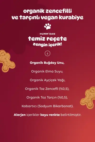 Humm Organik Zencefilli Tarçınlı Vegan Kurabiye 55 g yakın çekim görseli