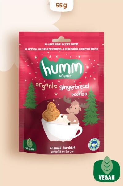 Humm Organik Zencefilli Tarçınlı Vegan Kurabiye 55 g