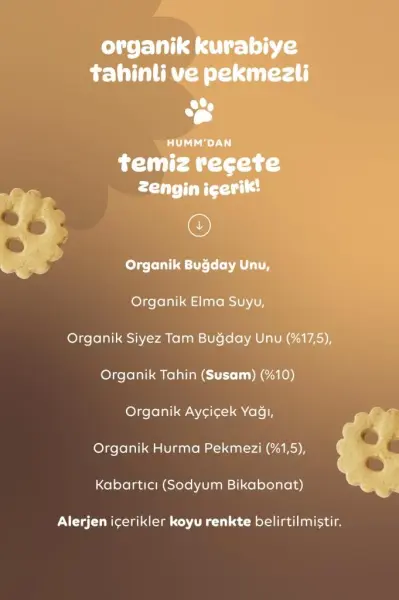 Humm Organik Vegan Tahinli Ve Pekmezli Kurabiye - 55g yakın çekim görseli