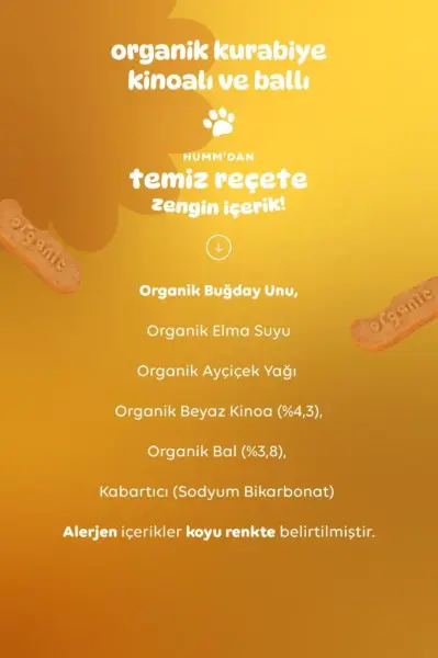 Humm Organik Ballı Ve Kinoalı Kurabiye 55 gr yakın çekim görseli