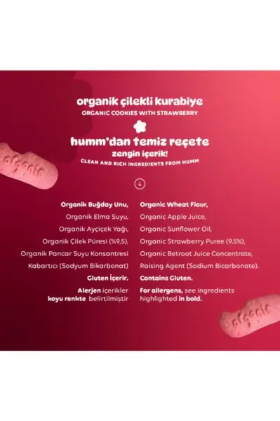 Humm Organik Vegan Çilekli Kurabiye 55 gr yakın çekim görseli