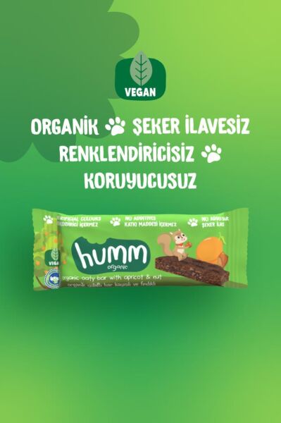 Organik Vegan Kayısılı Ve Fındıklı Yulaf Bar - 27g ürün görseli