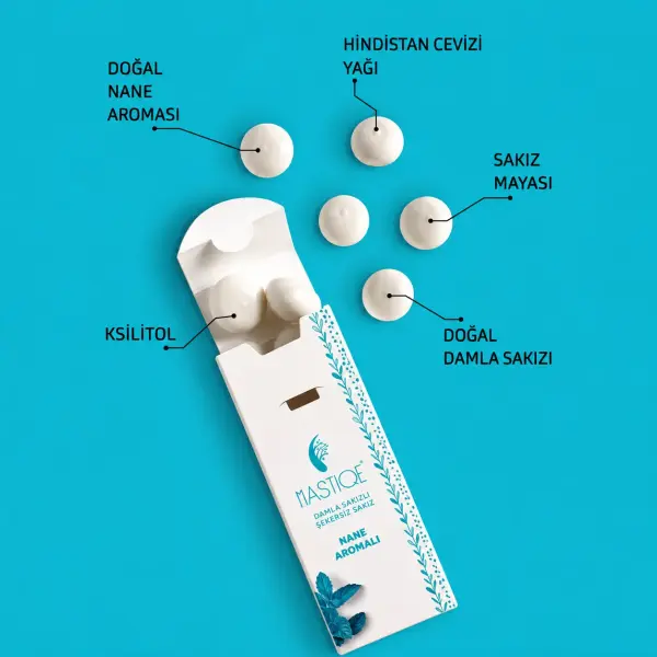 Mastiqe Doğal Nane Aromalı Sakız 20g ürün görseli