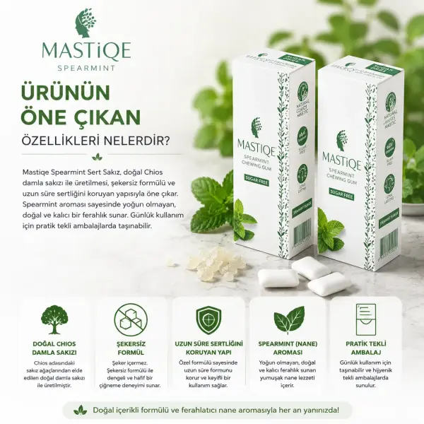 Mastiqe Yeşil Nane Aromalı Sakız 20g ürün görseli