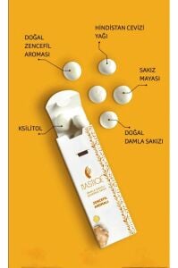 Mastiqe Zencefil Aromalı Sakız 20g