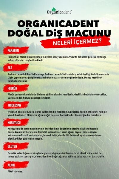 Organicadent Aktif Karbonlu Doğal Diş Macunu 75 ml
