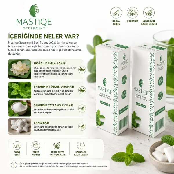 Mastiqe Yeşil Nane Aromalı Sakız 20 GR x 2 Adet ambalaj görseli