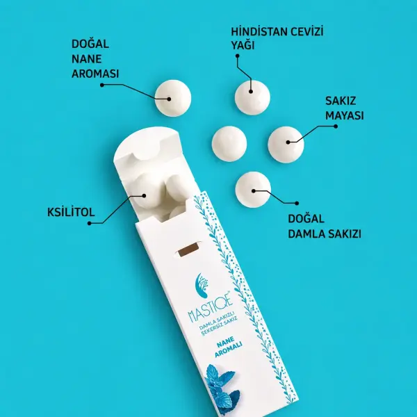 Mastiqe Nane Aromalı Sakız 20 GR x 2 Adet ambalaj görseli