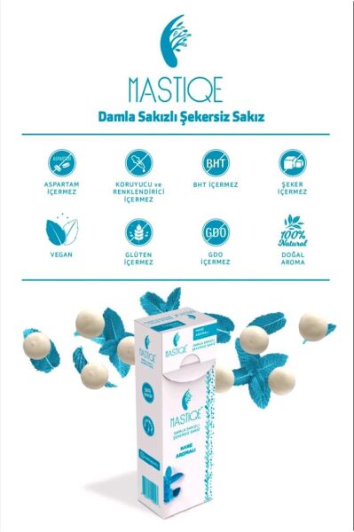 Mastiqe Nane Aromalı Sakız 20 GR x 2 Adet