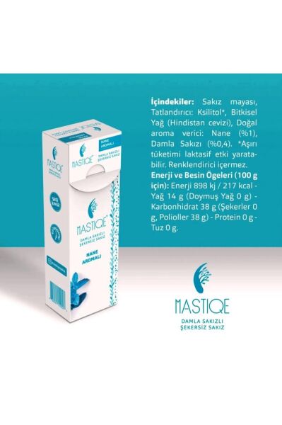 Mastiqe Nane Aromalı Sakız 20 GR x 2 Adet