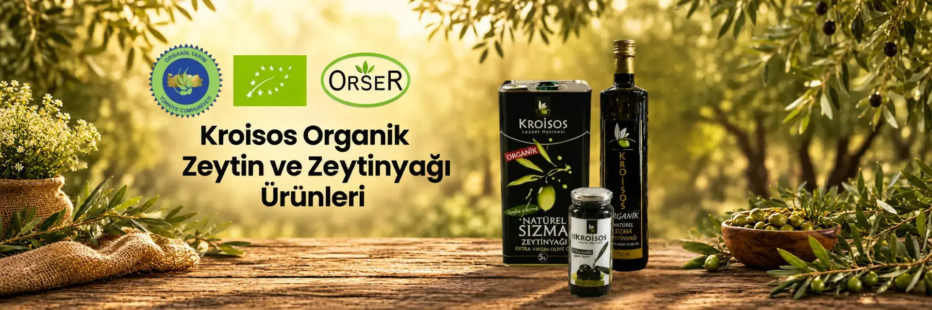 kroisos