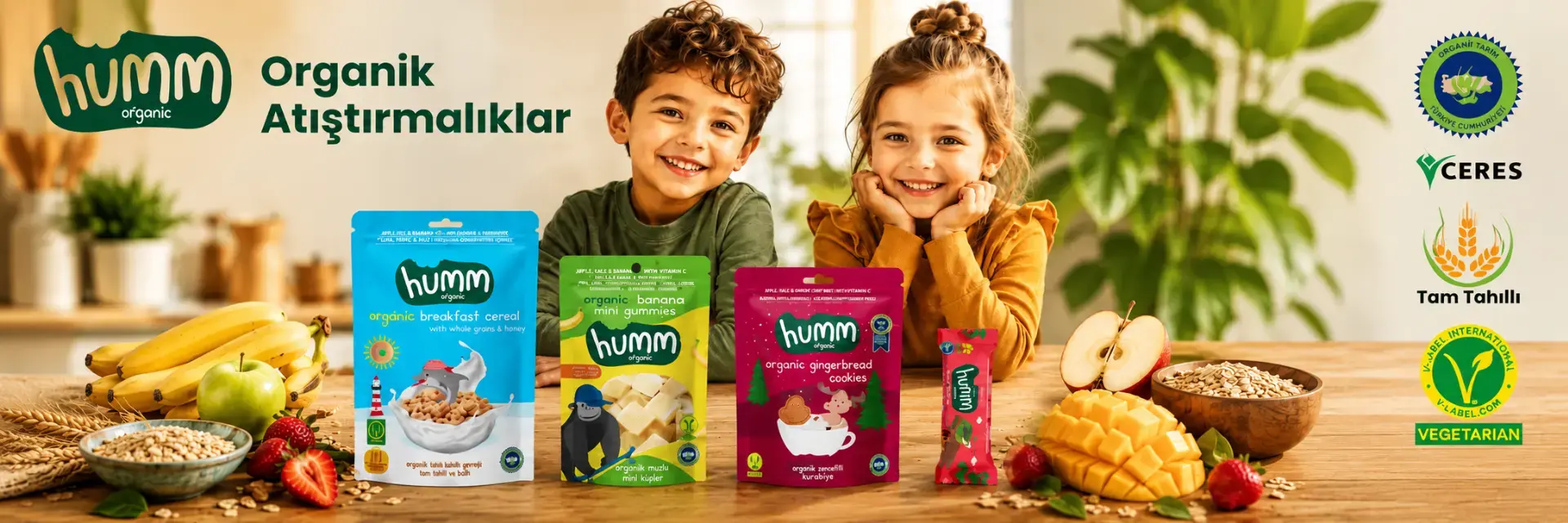 humm organik atıştırmalıklar